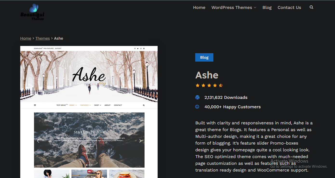 Ashe Best WordPress Blog Theme for Personal Blogs 2025
