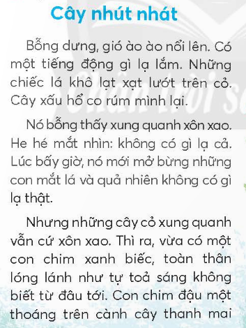 BÀI 1: CÂY NHÚT NHÁTKHỞI ĐỘNG Câu hỏi: Đố bạn về các loài cây:Cây gì lá tựa tai voiHè làm ô mát em chơi sân trường?                               (Là cây gì?) Thân cao nhiều đốtMọc chụm thành bờLá nhỏ cành thưaĐu đưa trong gió.         (Là cây gì?)Giải nhanh:Cây bàng, cây tre KHÁM PHÁ VÀ LUYỆN TẬP