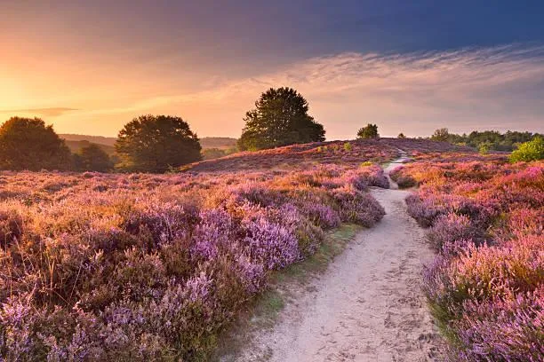 Wander Through Wilderness in 20 Peaceful Images, wilderness photos, peaceful wild, nature, landscape, nature hiking, outdoor quiet