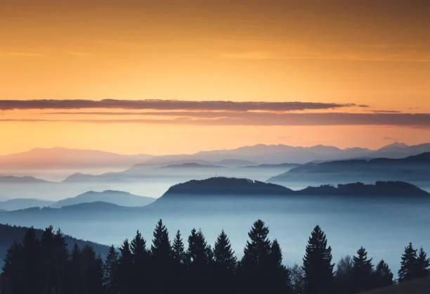 15 Trails Through Golden Grasses and Light, golden trail, grass path, nature, forest, landscape, warm land, sunset walk