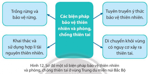 Quan sát hình 12, em hãy nêu một số biện pháp bảo vệ thiên nhiên và phòng, chống thiên tai ở vùng Trung du và miền núi Bắc Bộ.