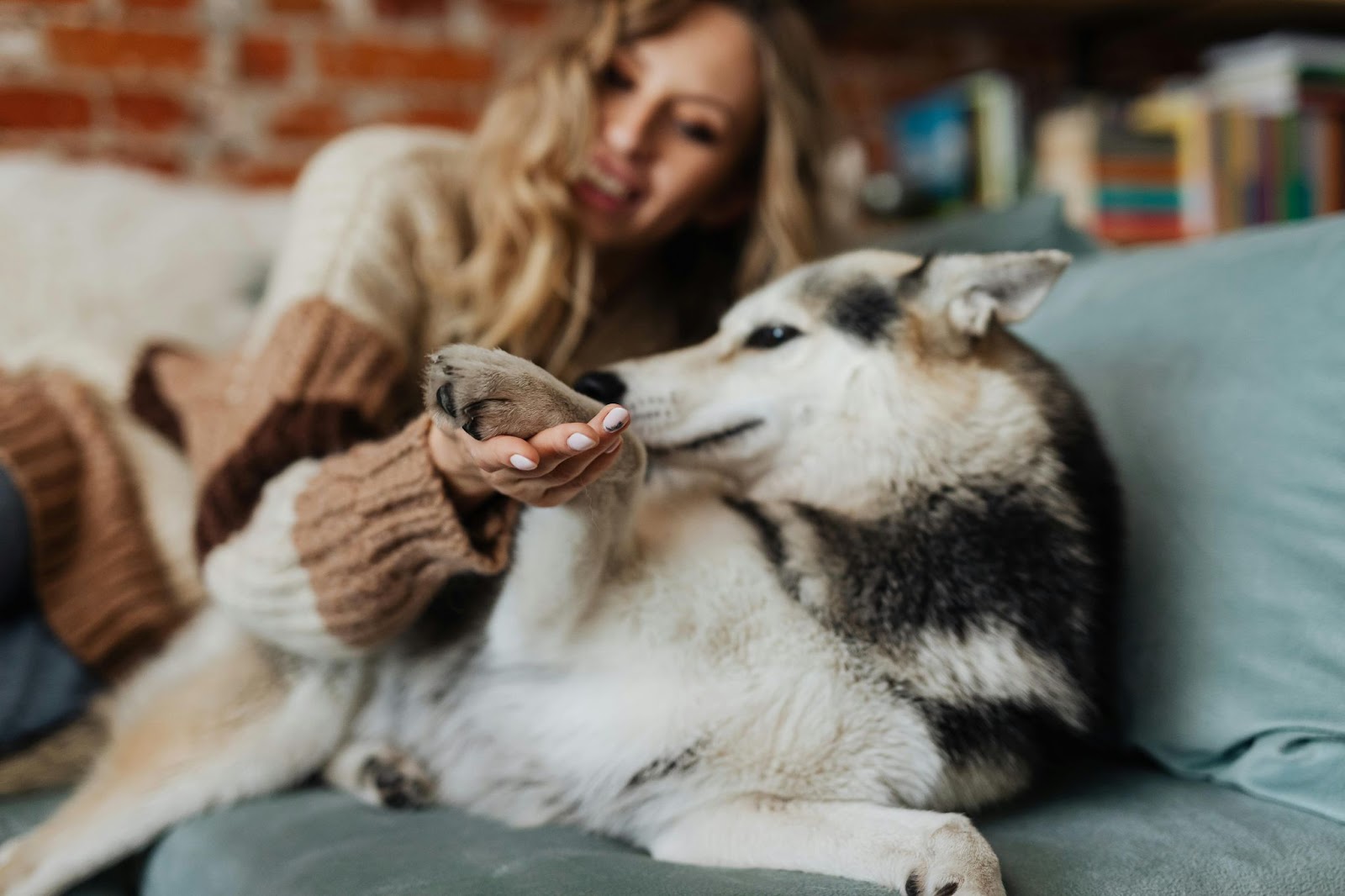 Beautiful Woman Holding Dog’s Paw