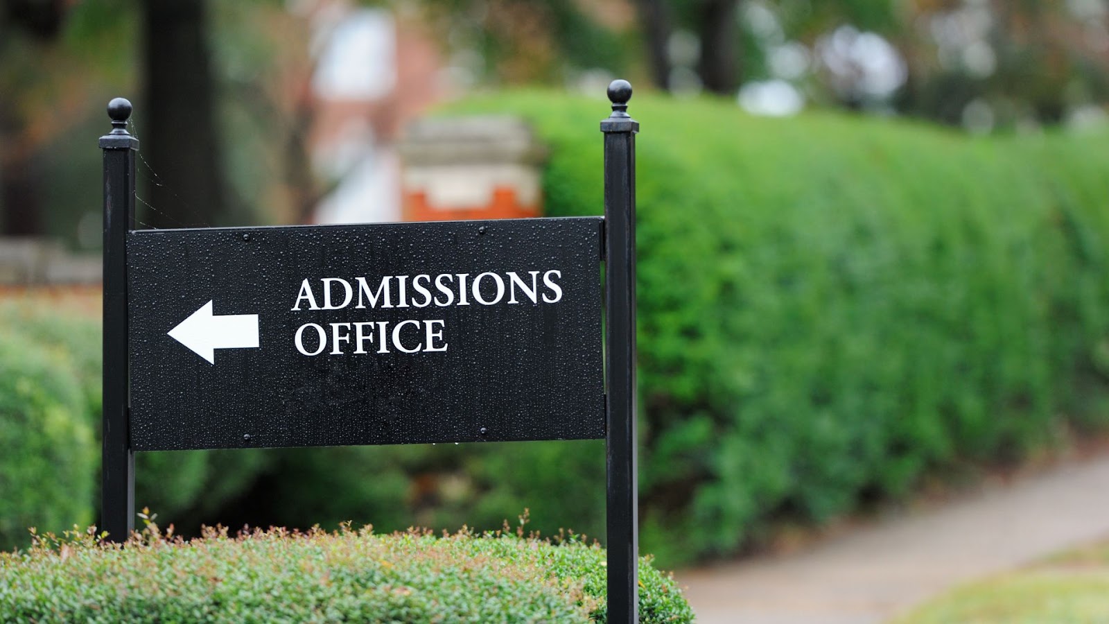 Top trends in Ivy League admissions