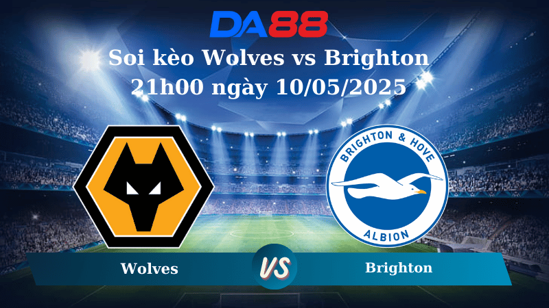 Soi kèo Wolves vs Brighton 21h00 ngày 10/05/2025