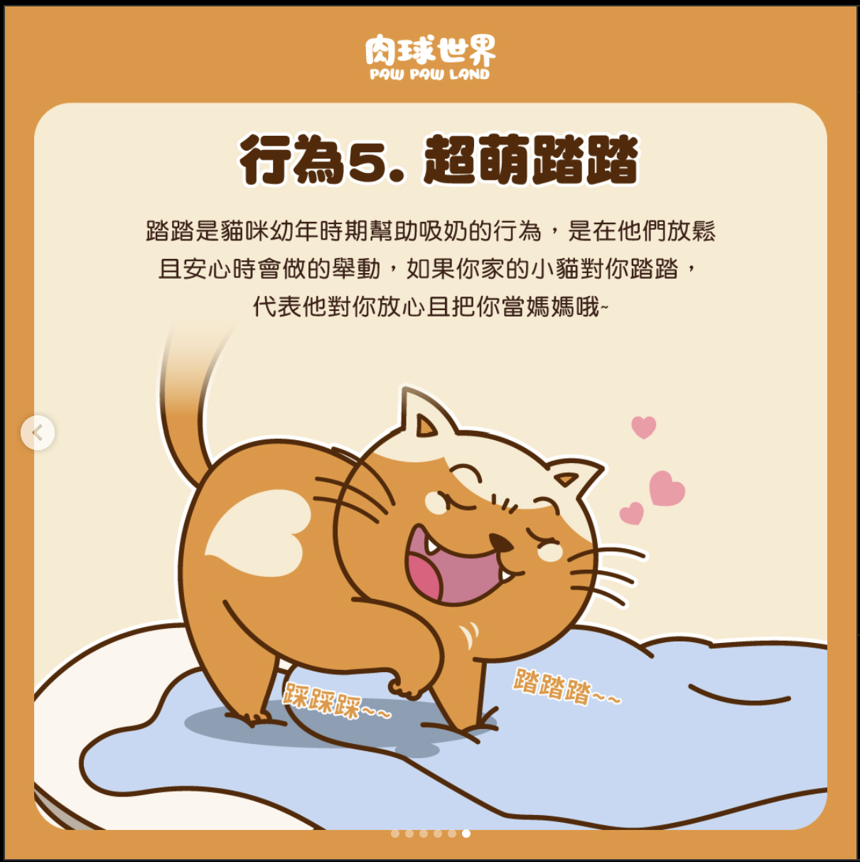 ● 行為（5）：貓咪超萌踏踏