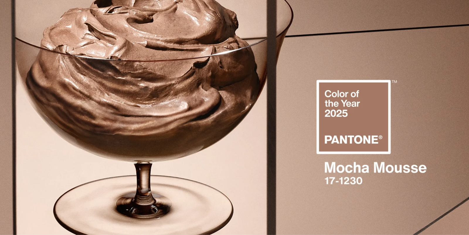 Pantone's Mocha Mousse.