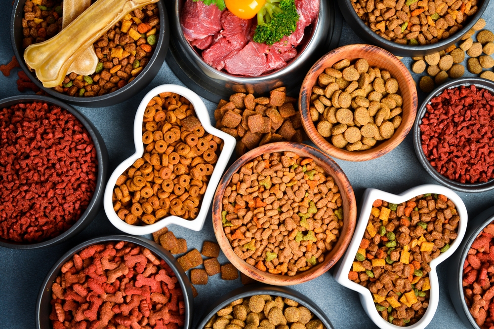 UK Raw Feeding Tips for Picky Dogs
