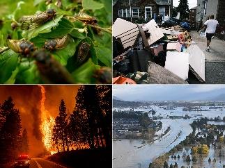 A collage of different images of a house and a fire

Description automatically generated