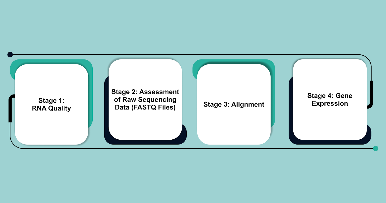 Stages of RNA-seq Quality Control