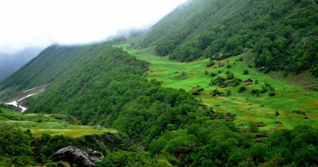 Nanda Devi National Park – Untamed Majesty