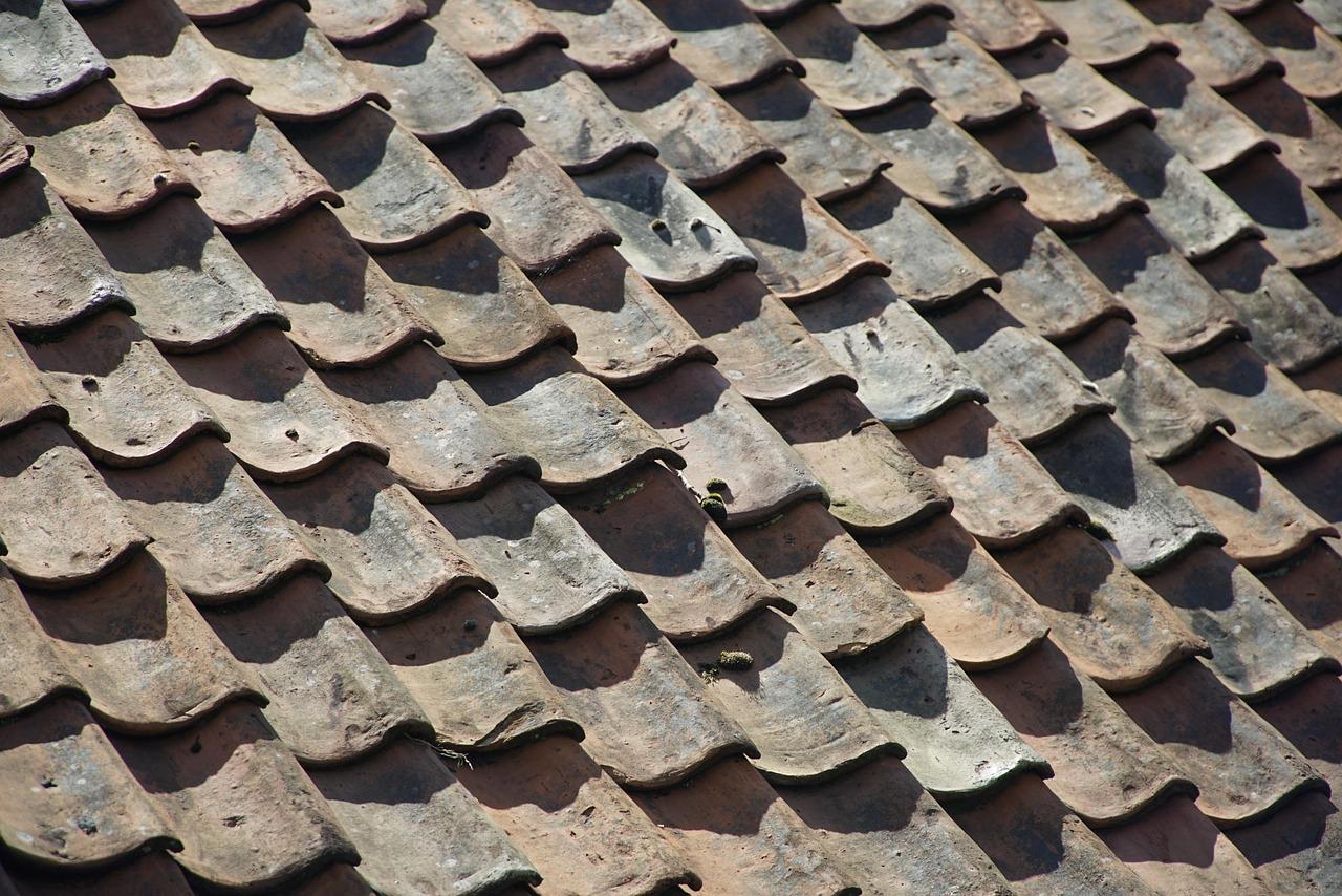 Free Roof Roof Tiles photo and picture