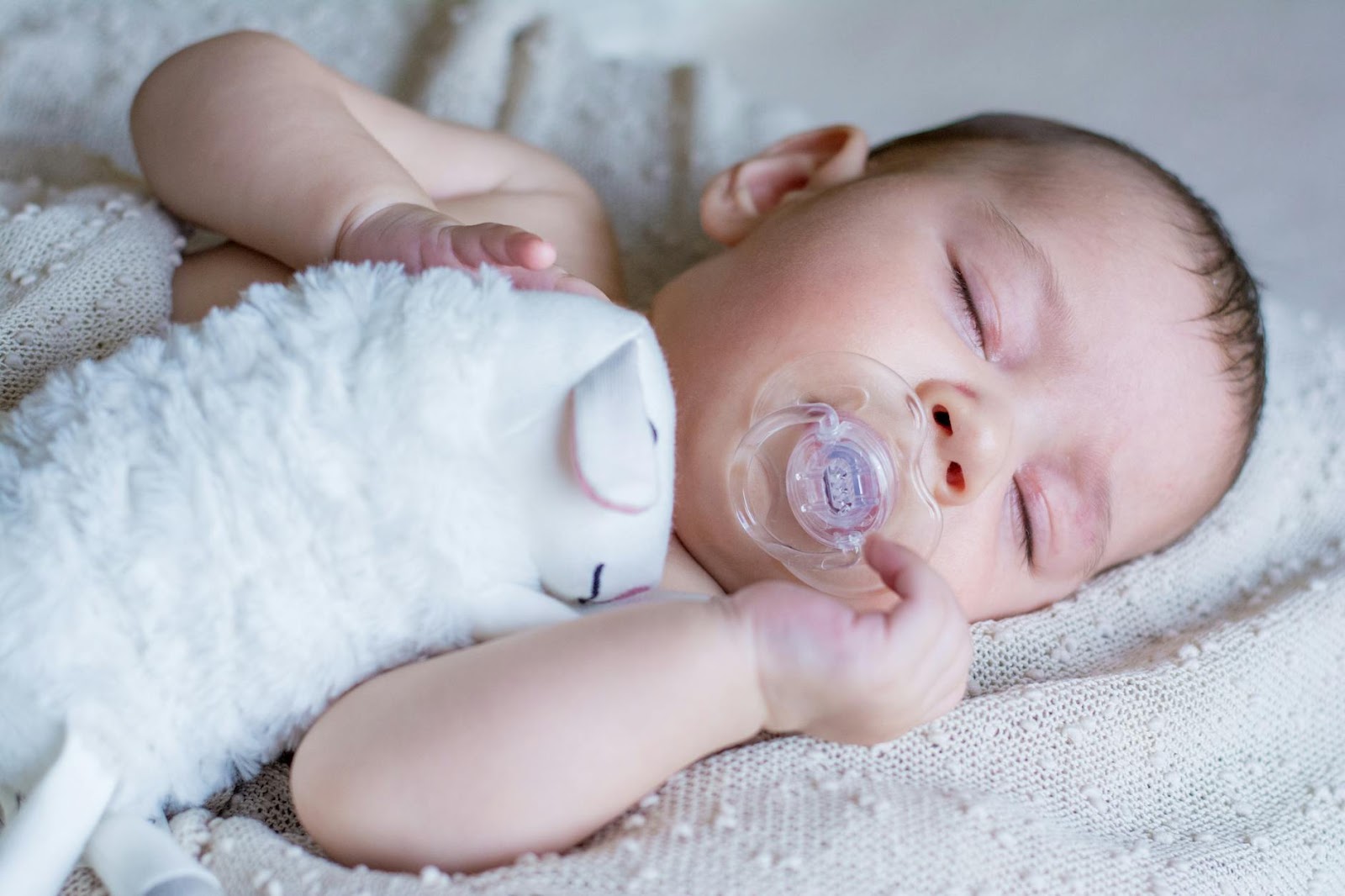 A newborn baby sleeps peacefully with a pacifier and a plush toy.