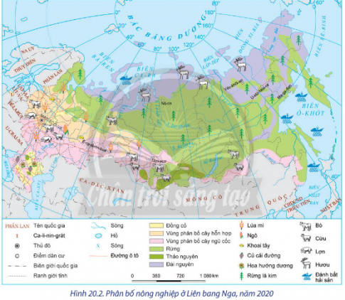 BÀI 20: KINH TẾ LIÊN BANG NGA