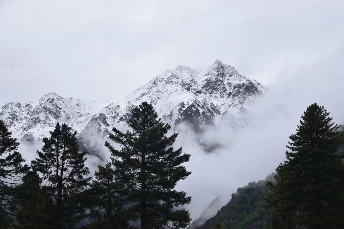 Fairy Meadows
