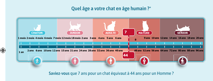 Une image contenant texte, capture d’écran, PoliceLe contenu généré par l’IA peut être incorrect.