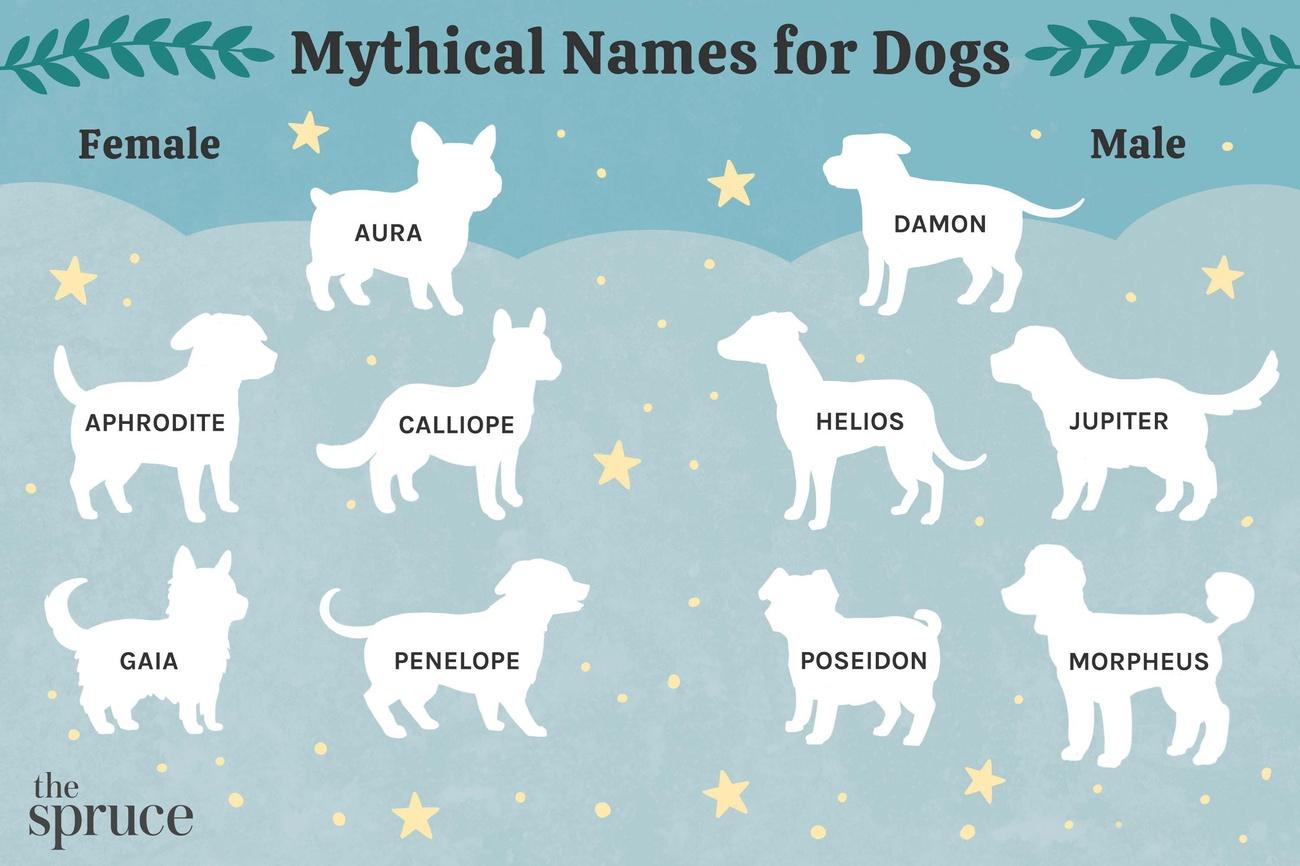 female dog names