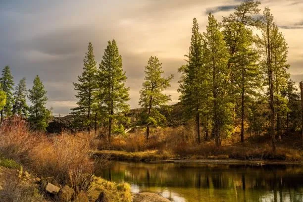 25 Photos That Celebrate the Wild, wild nature, untamed landscapes, nature, landscape, outdoor freedom, earth rawness