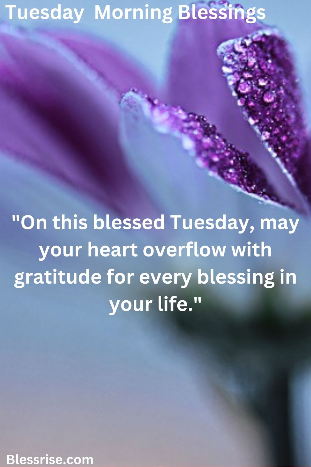 Tuesday blessings