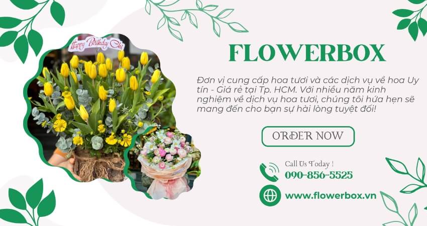 The Flower Box - Shop hoa tươi uy tín tại TP.HCM