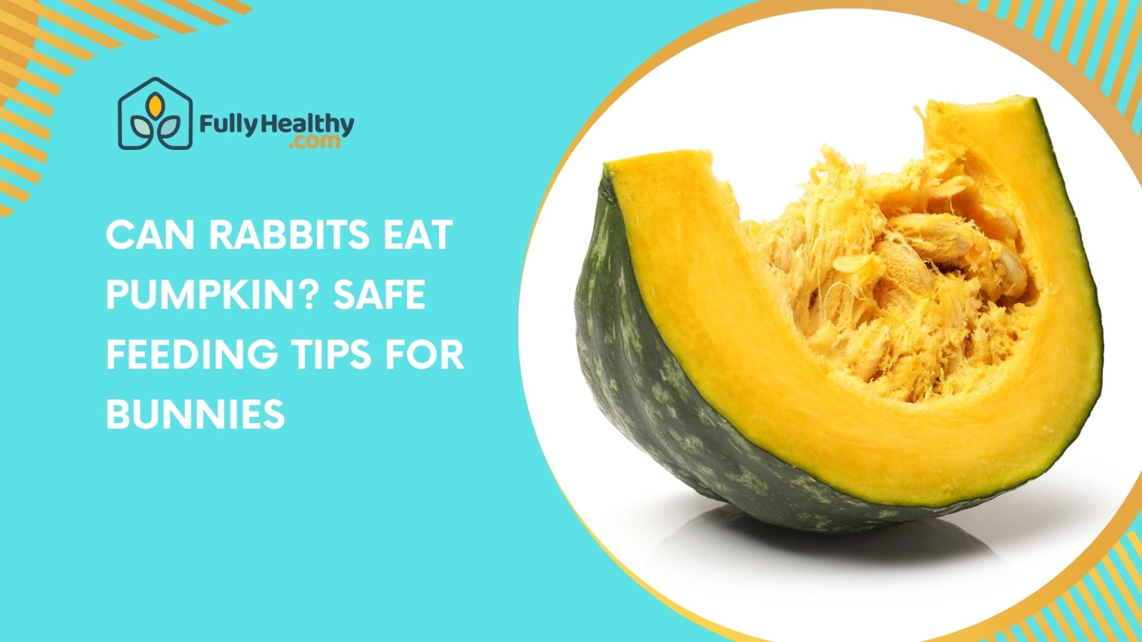 Can Rabbits Eat Pumpkin? Safe Feeding Tips for Bunnies