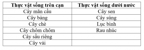 2. Phân loại thực vật và động vật theo môi trường sống