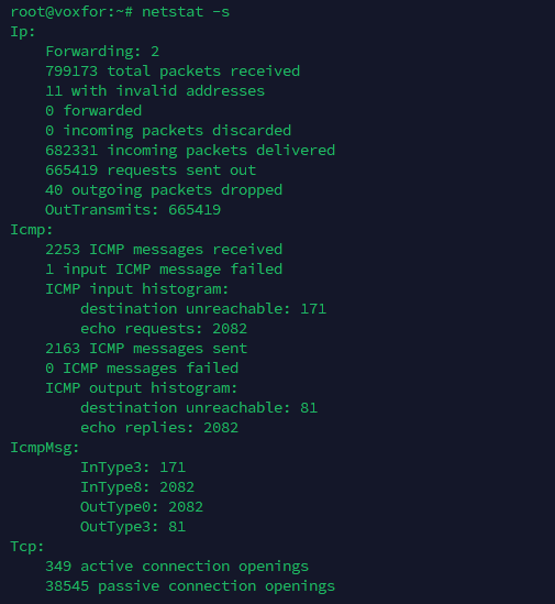 Using netstat -s to display comprehensive network statistics by protocol