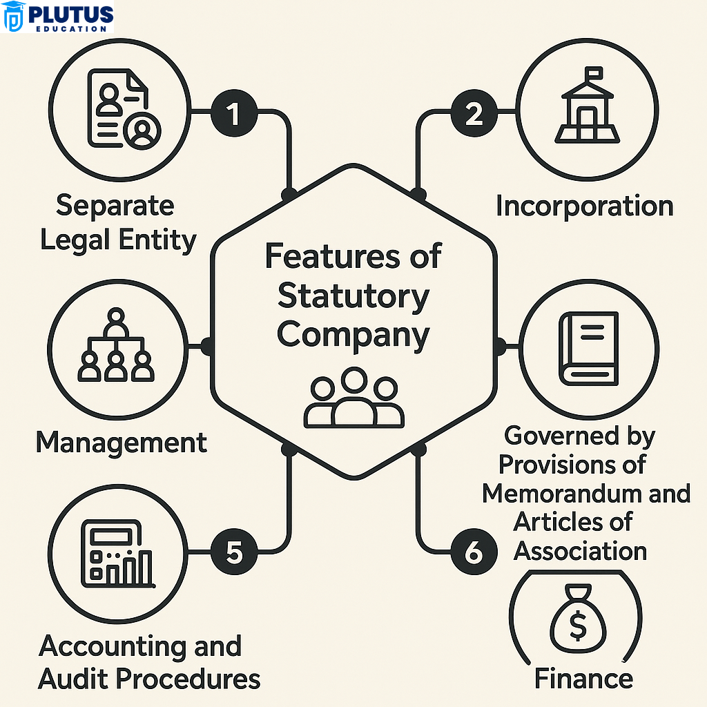 Statutory Company Example