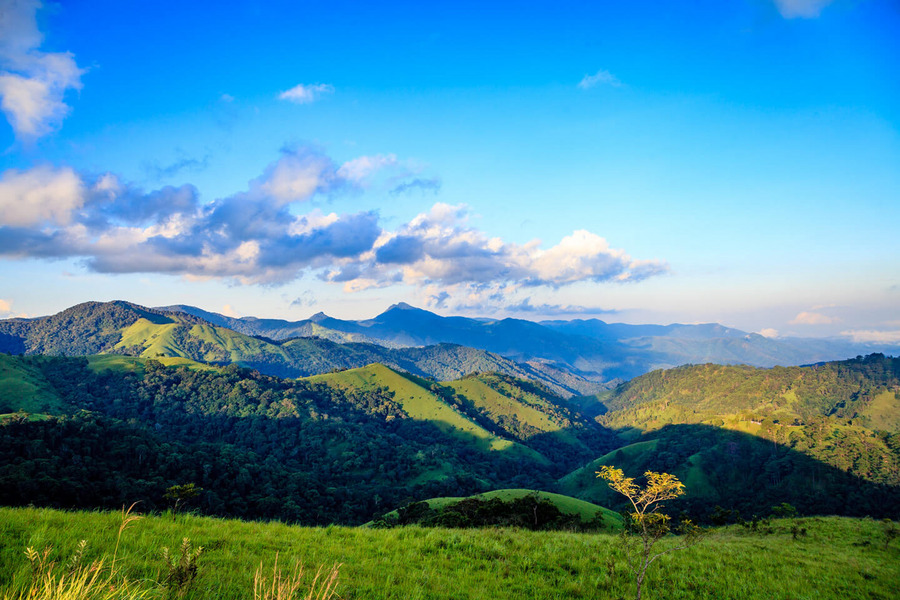 Romantic and poetic natural scenery in Lam Dong. Source: Heritage Magazine