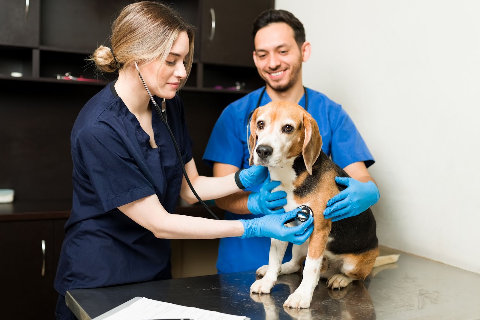 salario-promedio-veterinario-en-colombia