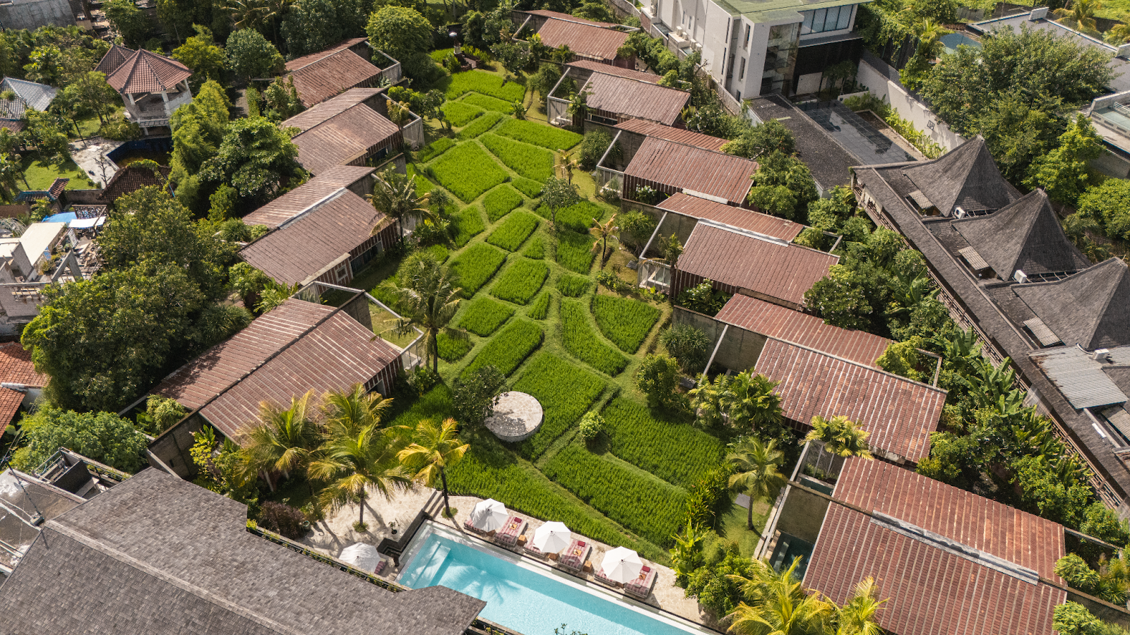 Shore Amora: Where Remote Work Meets Soulful Living in Canggu