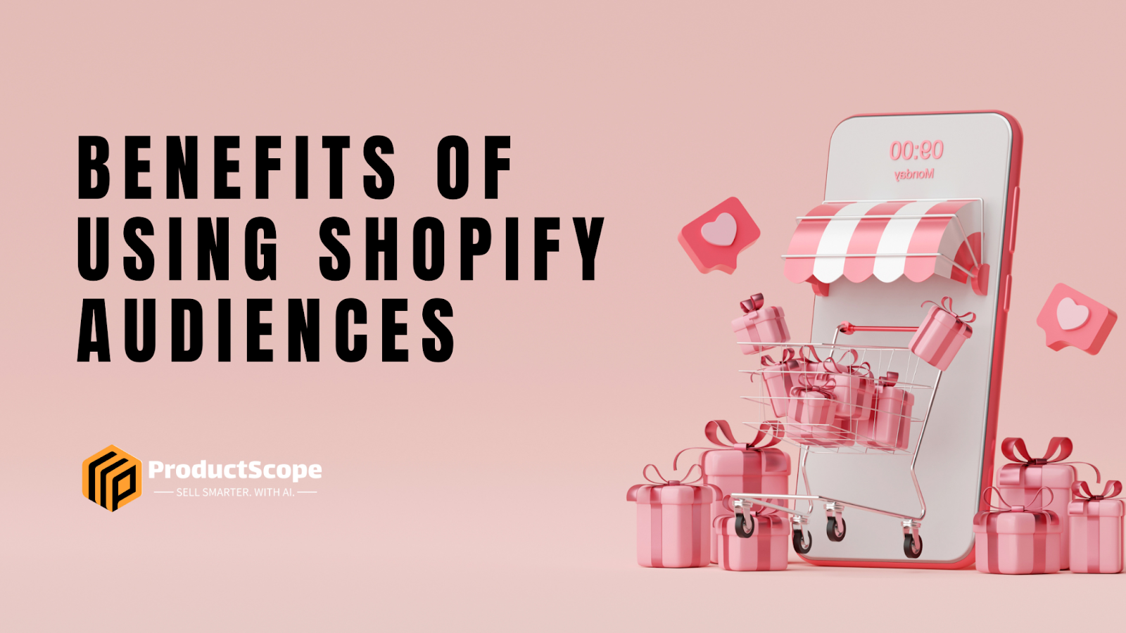 Shopify Audiences