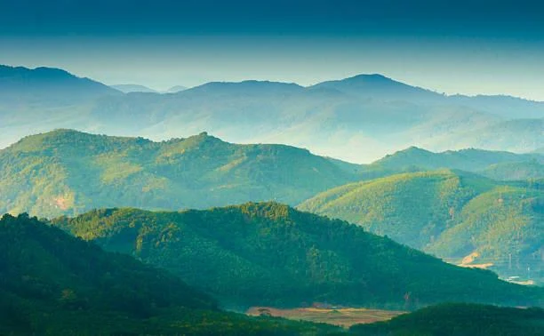 The Stillness of Nature Captured in 15 Shots, stillness in nature, quiet photos, nature, forest, landscape, meditative landscapes, soft nature