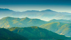 The Stillness of Nature Captured in 15 Shots