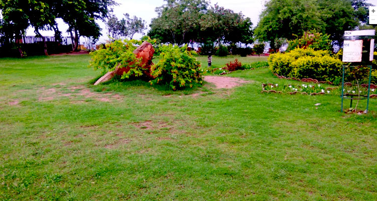 Jodhpur Taxi Services