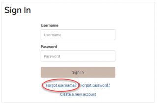 A screenshot of a login form

Description automatically generated