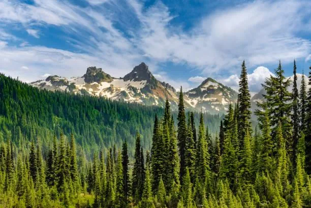 25 Nature Photos That Calm the Overthinking Mind, peaceful photos, nature therapy, nature, forest, landscape, mindful scenery, emotional calm