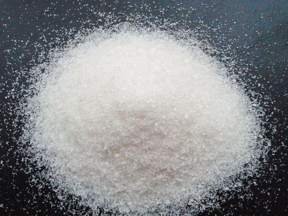 Bệnh nứt thân, xì mủ: Nguyên nhân, triệu chứng & cách phòng trị