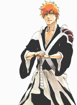 Top 16 Most Lovable Anime Mascot Characters | Ichigo Kurosaki | AnimeKing 