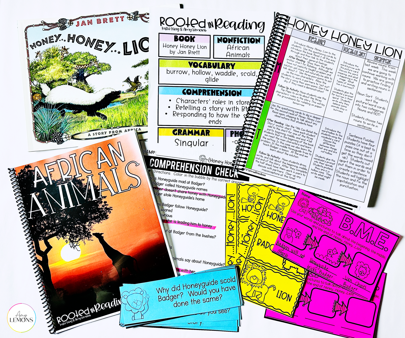 1st grade reading curriculum components showing book, nonfiction reader, question cards, lesson plans, and comprehension assessment