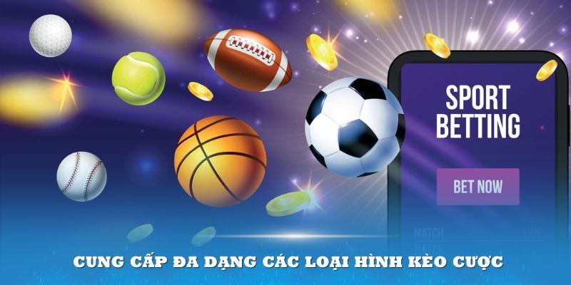 79King cung cấp đa dạng các loại hình dịch vụ hấp dẫn