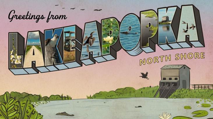 A postcard with a picture of a lake and birds

AI-generated content may be incorrect.
