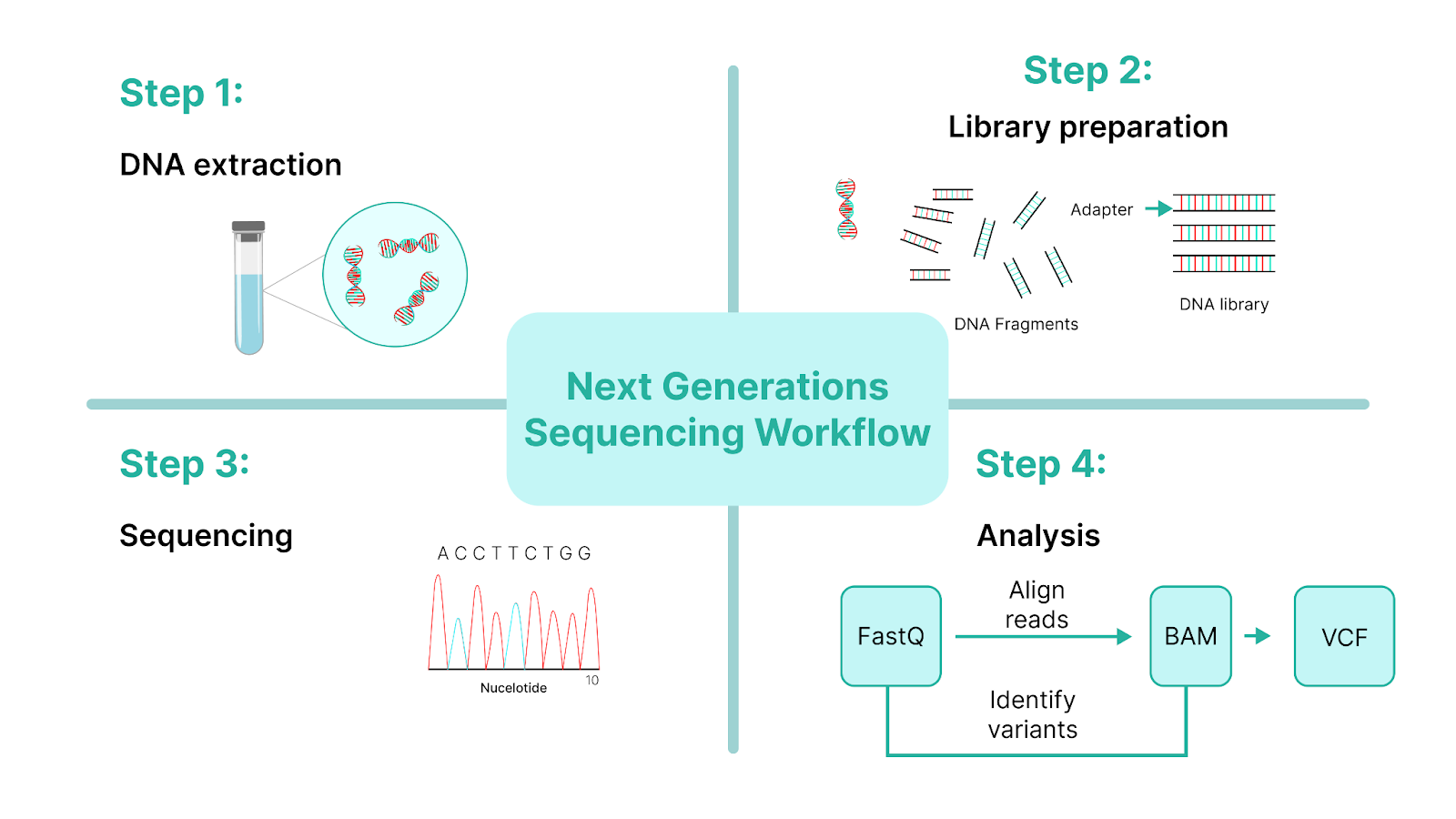 Next Generation DNA Sequencing Detailed Overview
