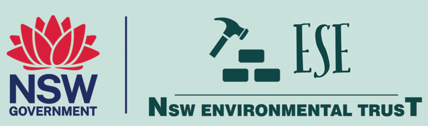 A hammer and bricks with text

Description automatically generated
