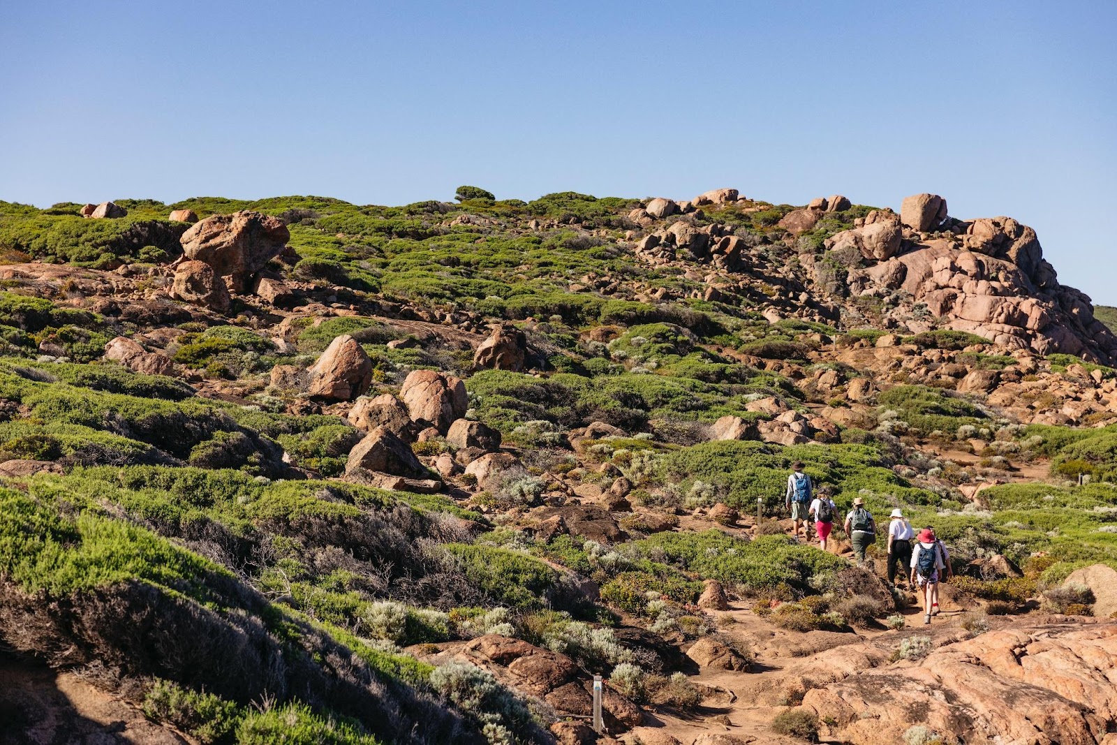 Ini 7 Destinasi Ikonik di Australia Barat yang Harus Masuk dalam Daftar Tujuan Wisata Kamu!