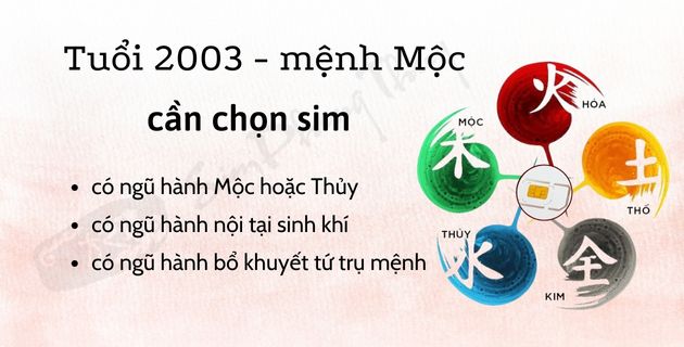 sim hợp tuổi 2003 có nội tại sinh khí