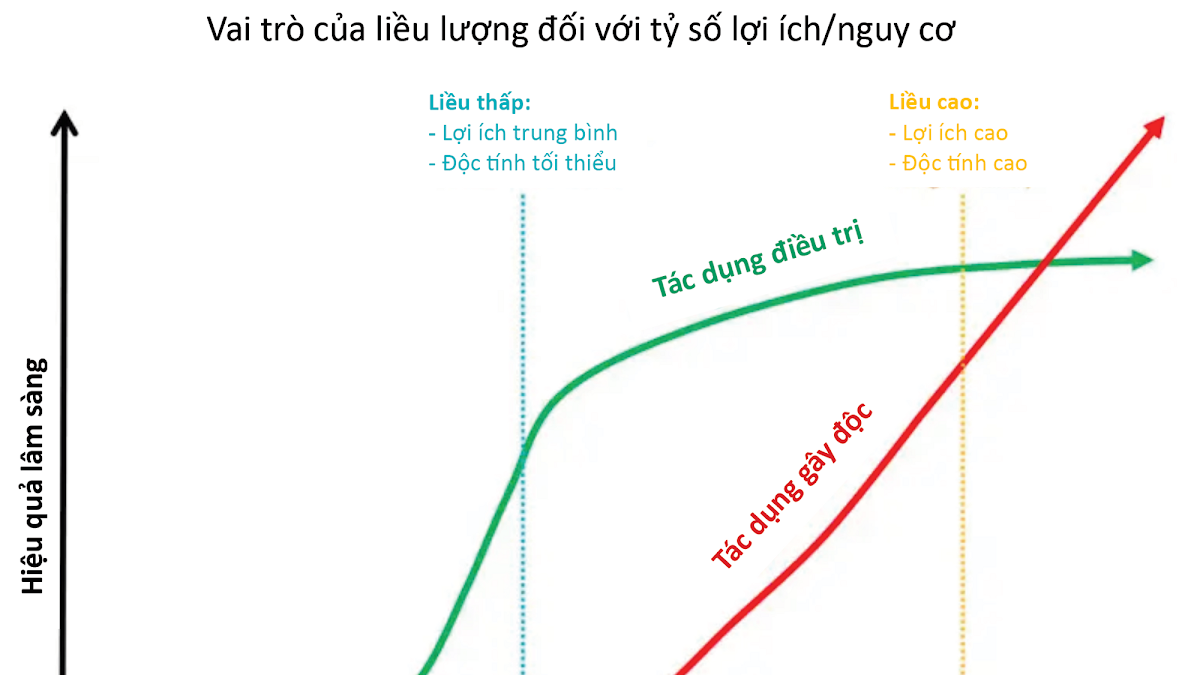 Giảm đau & An thần tại ICU