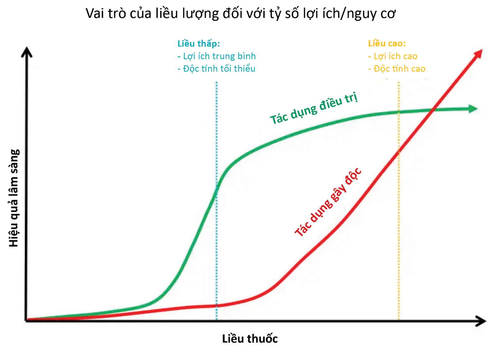 Sử dụng mỗi thuốc với liều thấp cho phép mang lại hiệu quả đáng kể, với ít độc tính hơn. Điều này giúp tối ưu tỷ số lợi ích/nguy cơ.