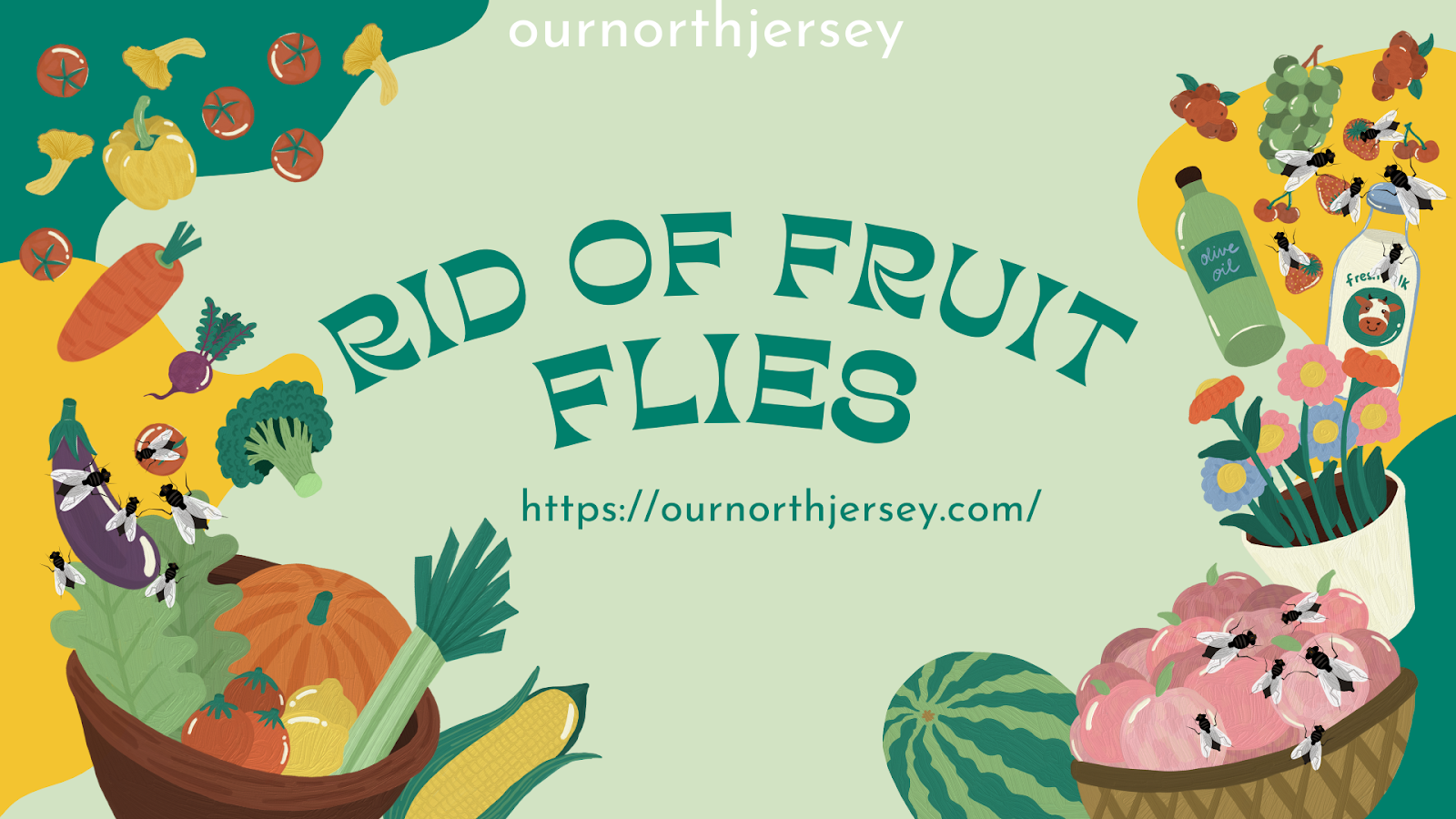 How to get rid of fruit flies 