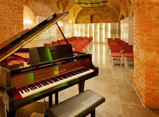 Grand Piano, Main Concert Hall, Mozarthaus, Vienna