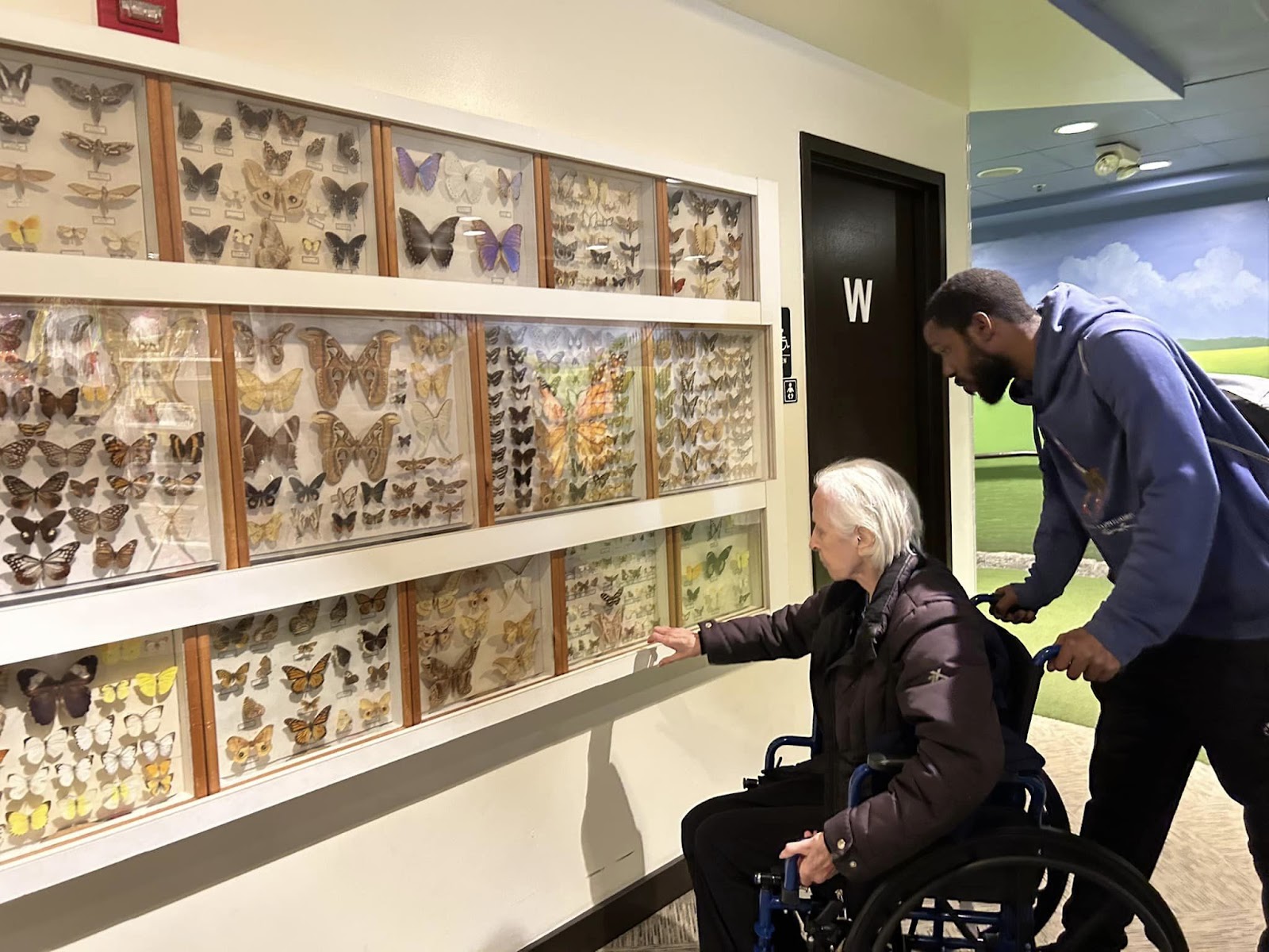 A senior occupational therapist with a senior in a museum looking at a butterfly exhibit